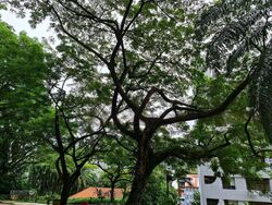 Aspen Heights (D9), Condominium #469471691